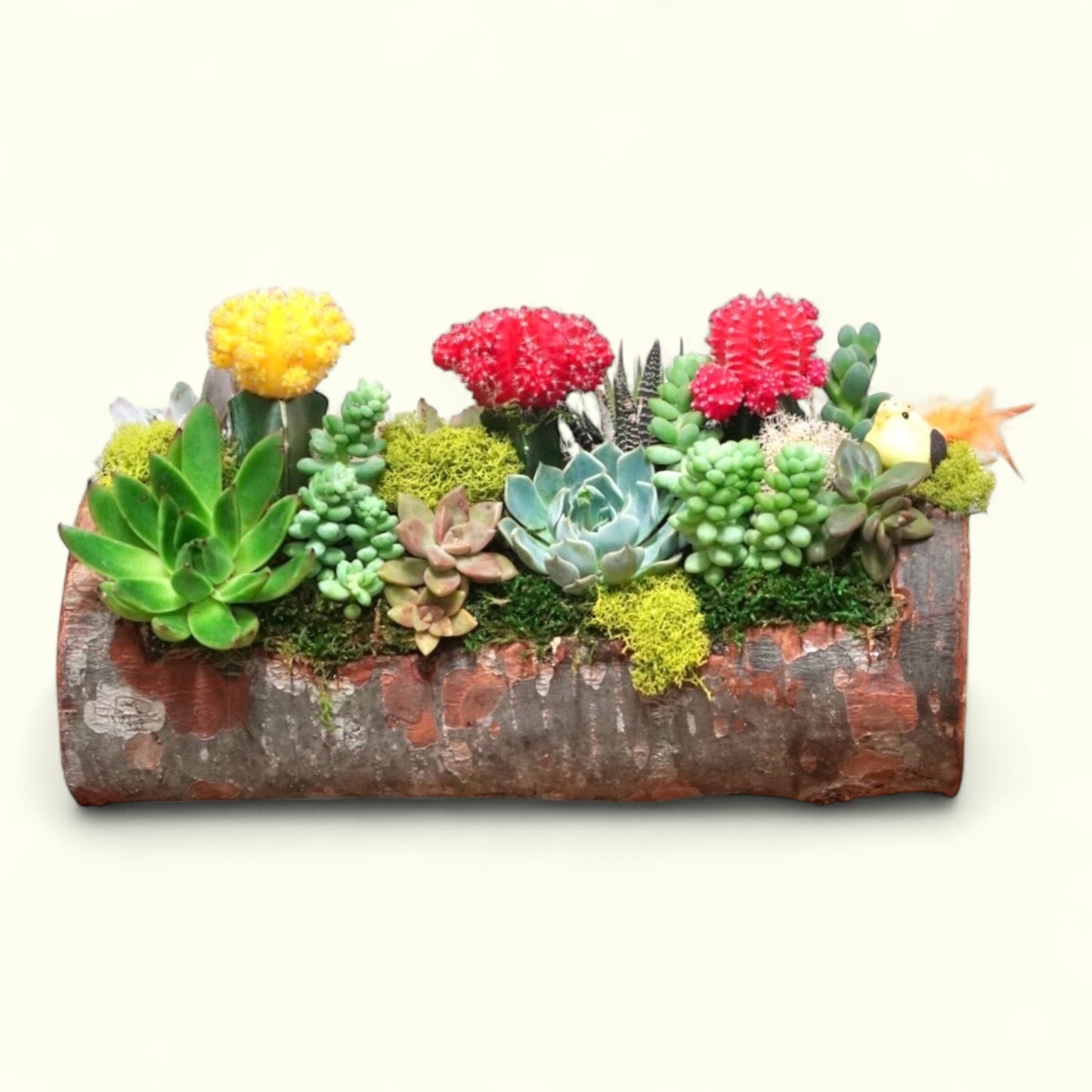 Rustic Bloom Log
