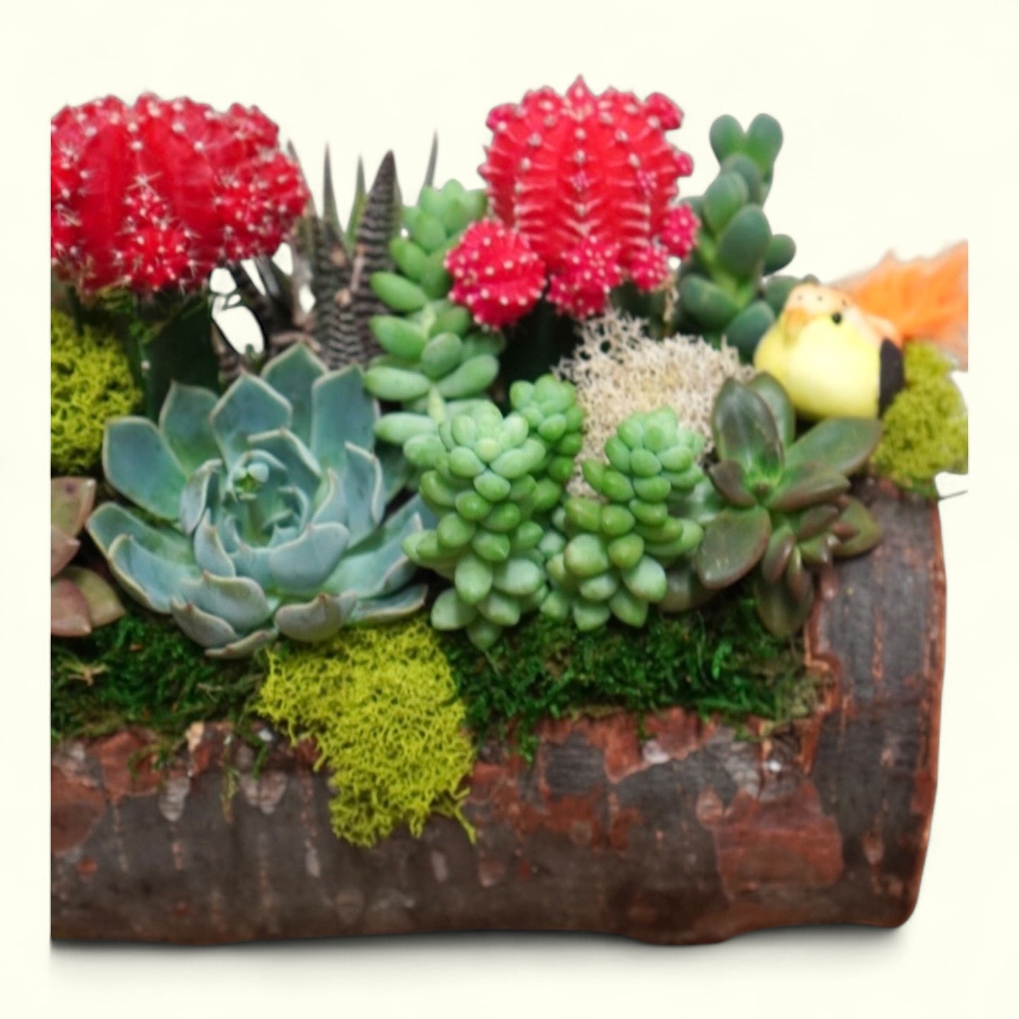 Rustic Bloom Log
