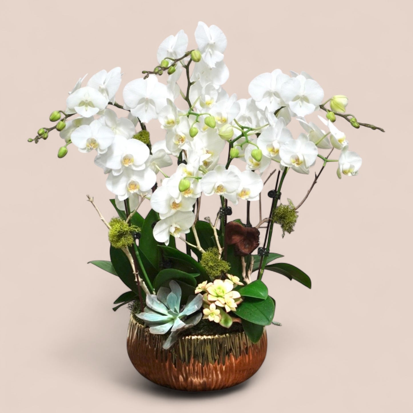 Willow Basket