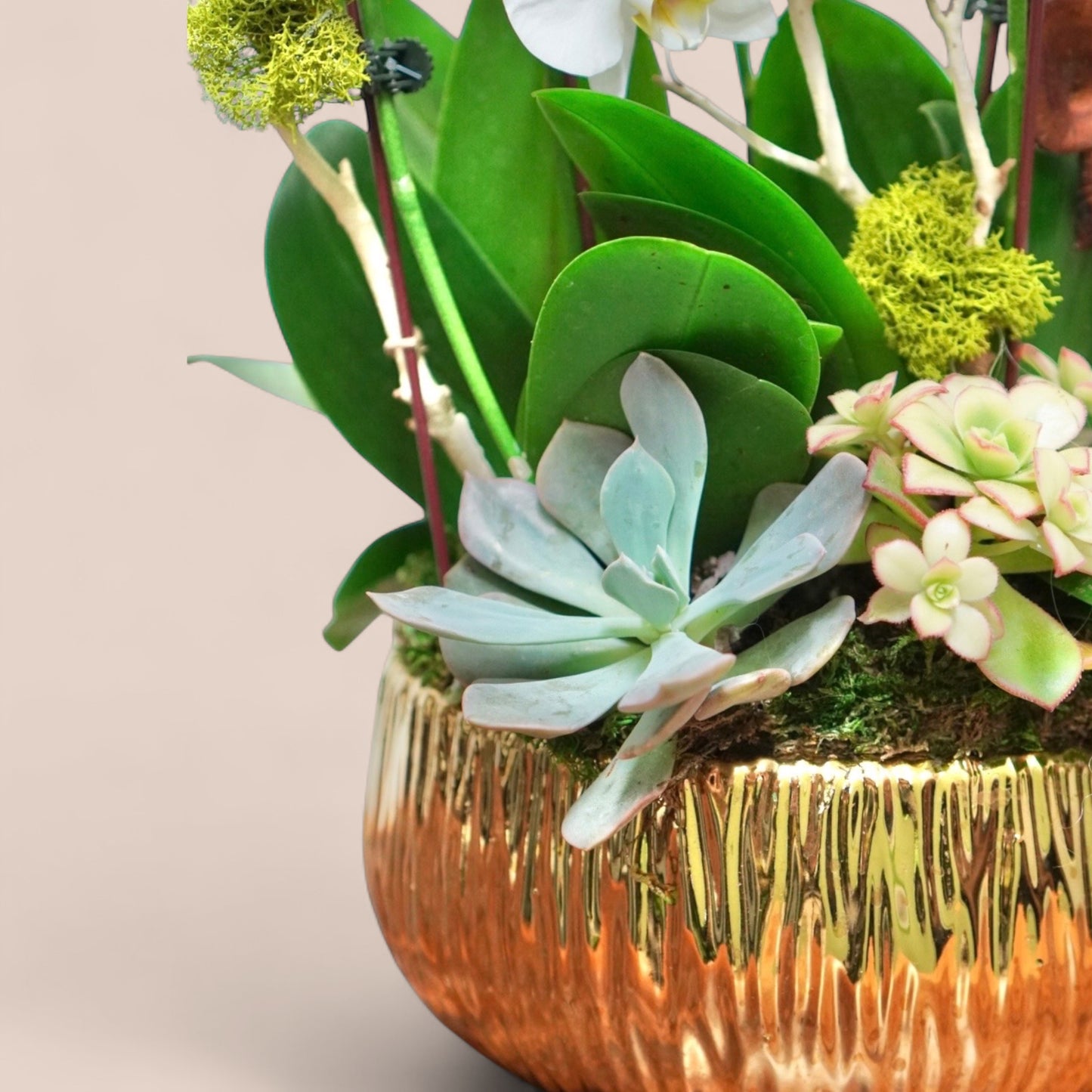 Willow Basket